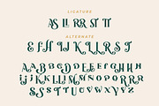 Mercy Christole Font, a Serif Font by Burhan Afif (Thumbnail 10 of 10)