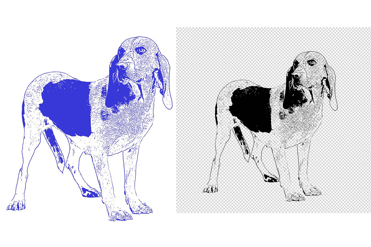Animal Photo to Tracing, an Action Add-On by MRI STUDIO (Photo 7 of 10)