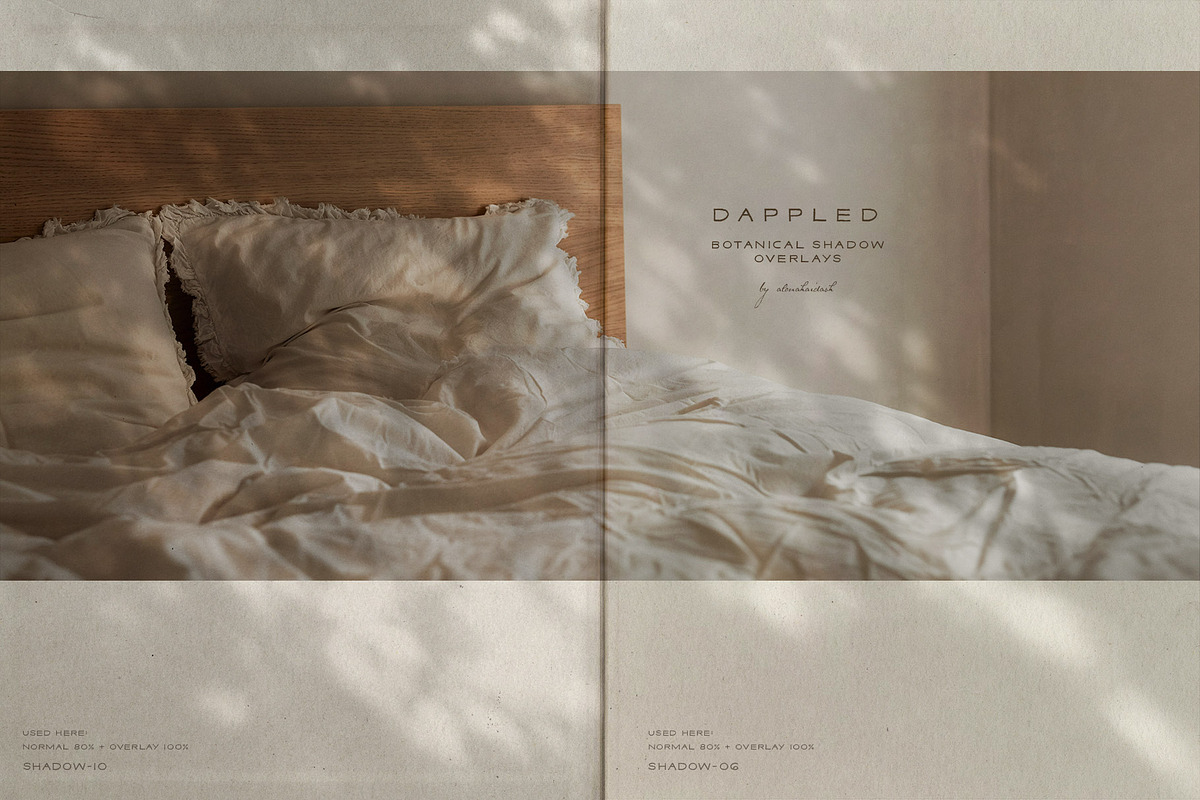Dappled - Botanical Shadow Overlays, a Texture Graphic by alonahaidash (Photo 2 of 16)