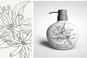 Flowers Ylang Ylang. Botanical set, an Object Graphic by ON_lineart_store (Thumbnail 7 of 8)