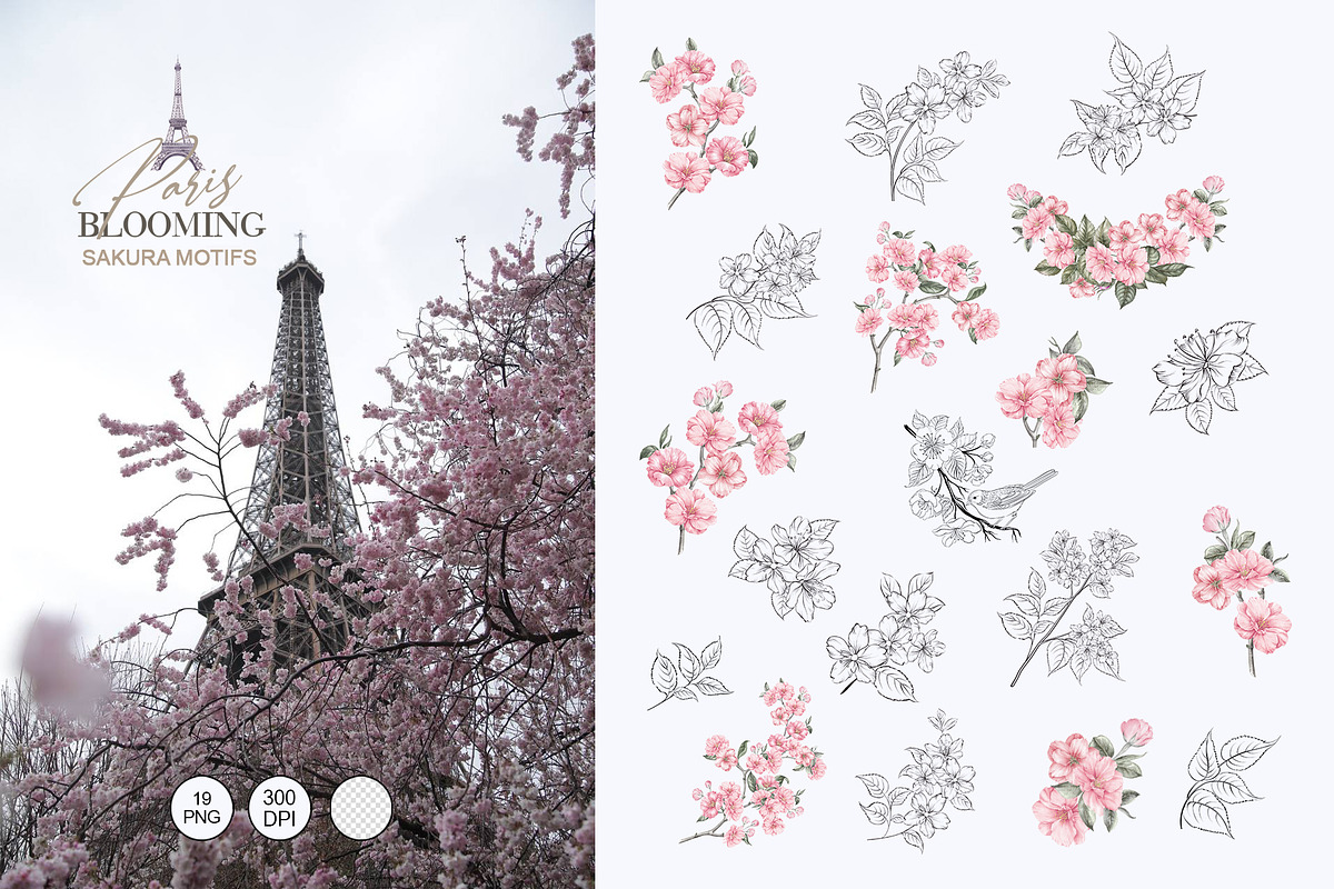 Blooming Paris. Motifs,Frame,pattern, an Illustration by Kotkoa (Photo 4 of 21)