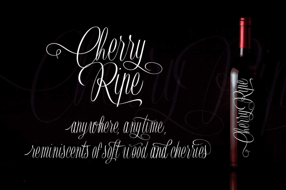 Trauville, a Script Font by Eurotypo (Photo 6 of 6)