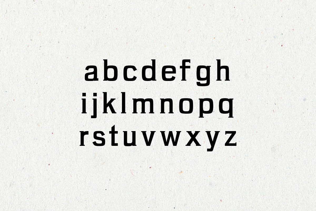 Brycen Serif Premium 7 Font Family preview 2