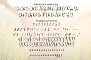 Delightful | Script Font, a Handwritten Font by Scratchones (Thumbnail 7 of 8)