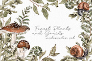 Forest plants and snails watercolor, an Illustration by Alamella (Thumbnail 1 of 7)