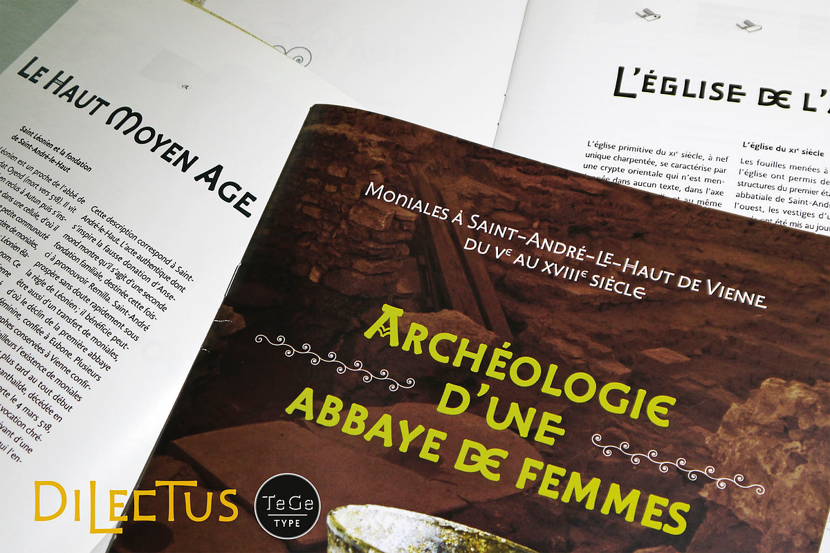Dilectus, a Script Font by TeGeType foundry (Photo 4 of 8)