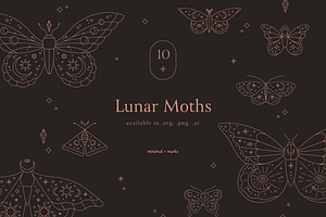 Celestial Moth & Butterfly Vectors