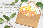Watercolor Citrus Fruit Clipart, an Illustration by Libby Wishes (Thumbnail 4 of 7)
