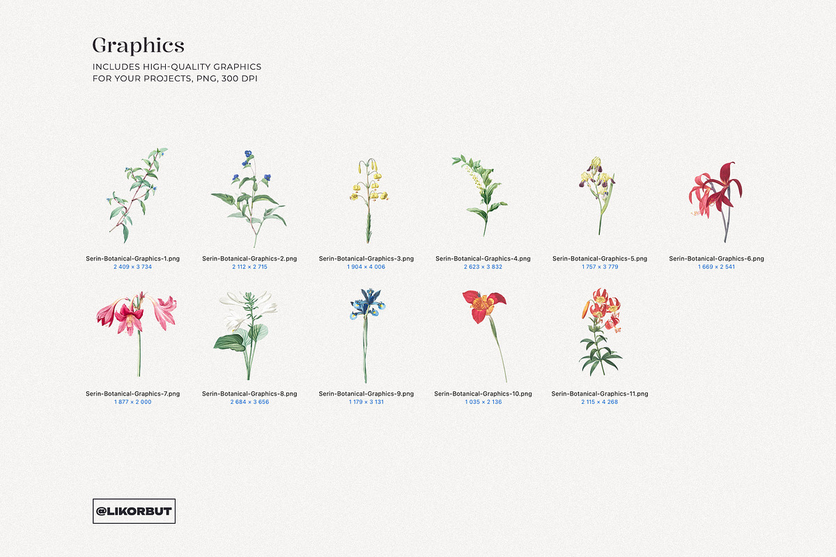 Vintage Botanical Floral Pattern, a Pattern Graphic by likorbut (Photo 7 of 13)