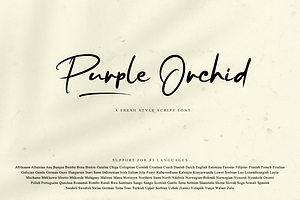 Purple Orchid // Fresh Typeface