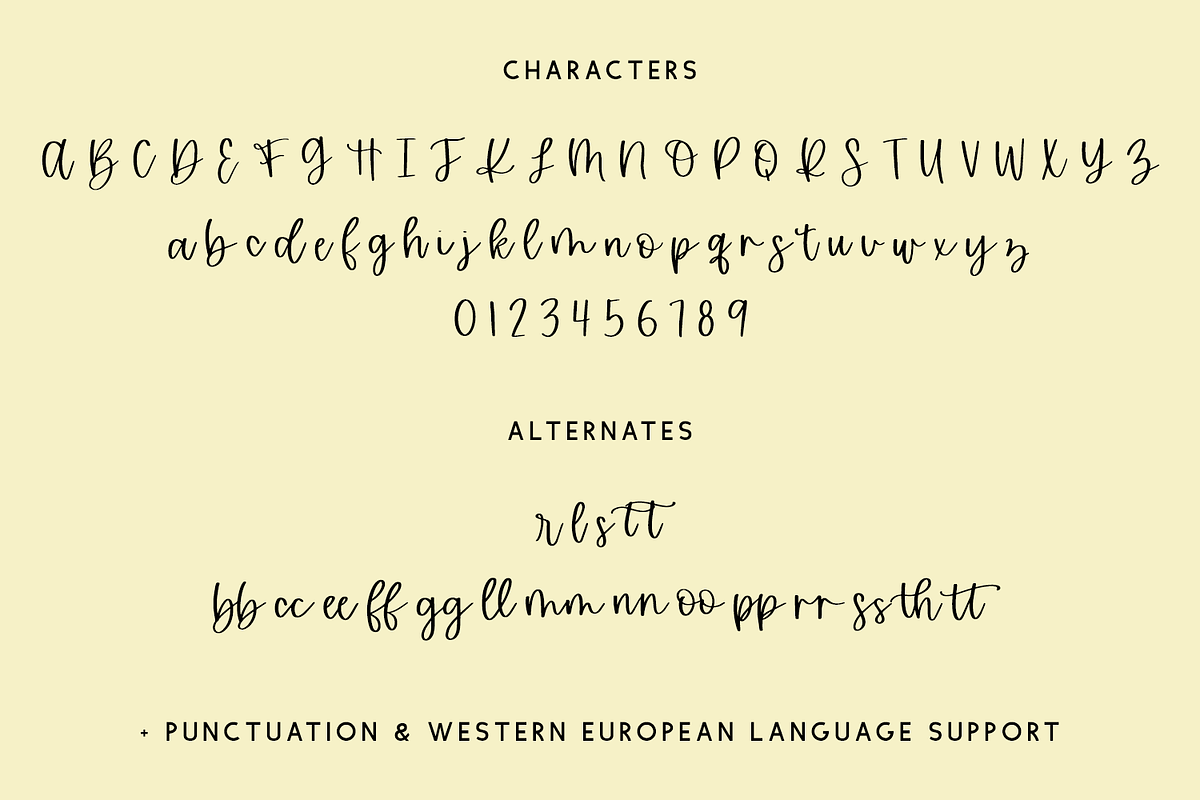 Sunfall Script, a Script Font by Beck McCormick (Photo 9 of 9)