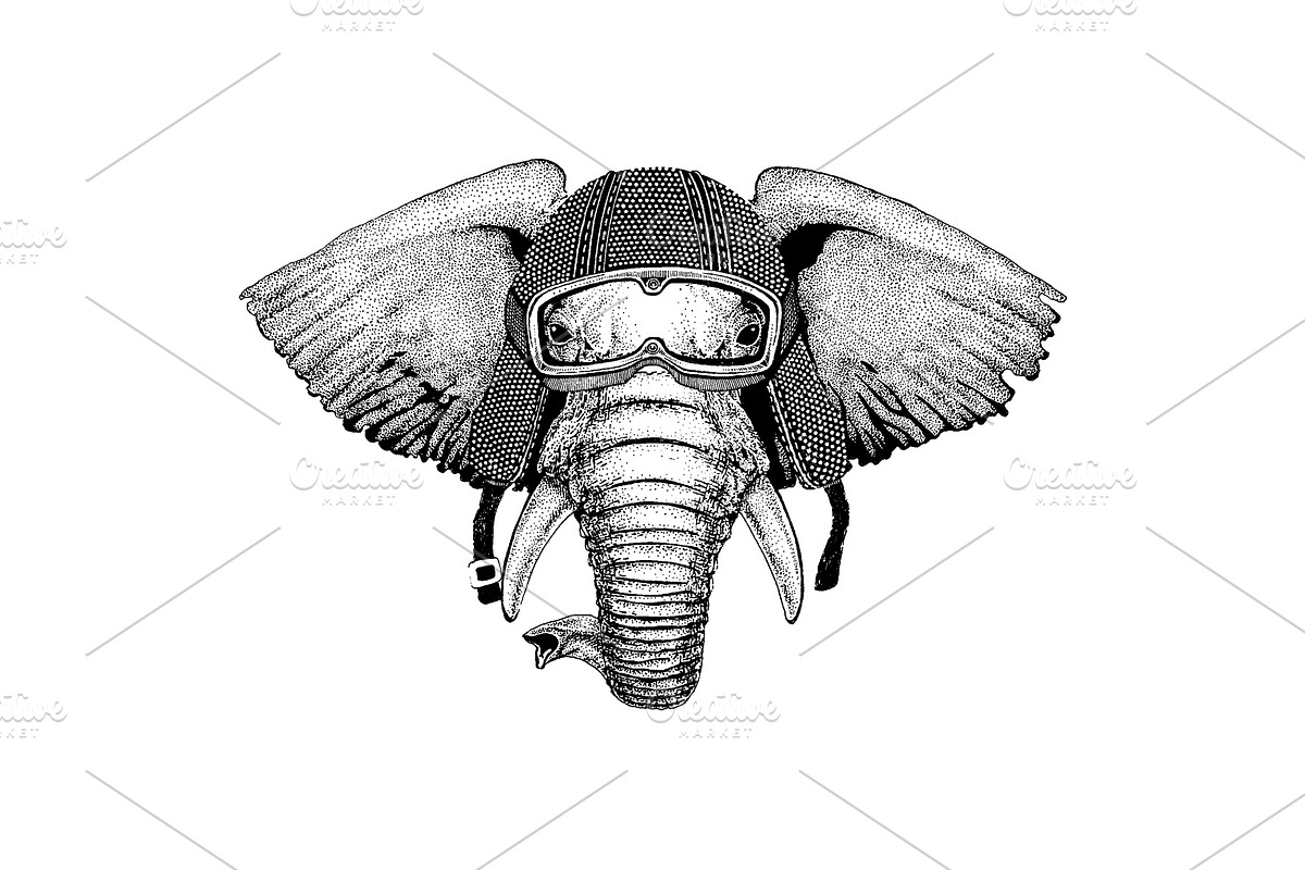 Animal wearing motorycle helmet, an Animal Illustration by Doodle
