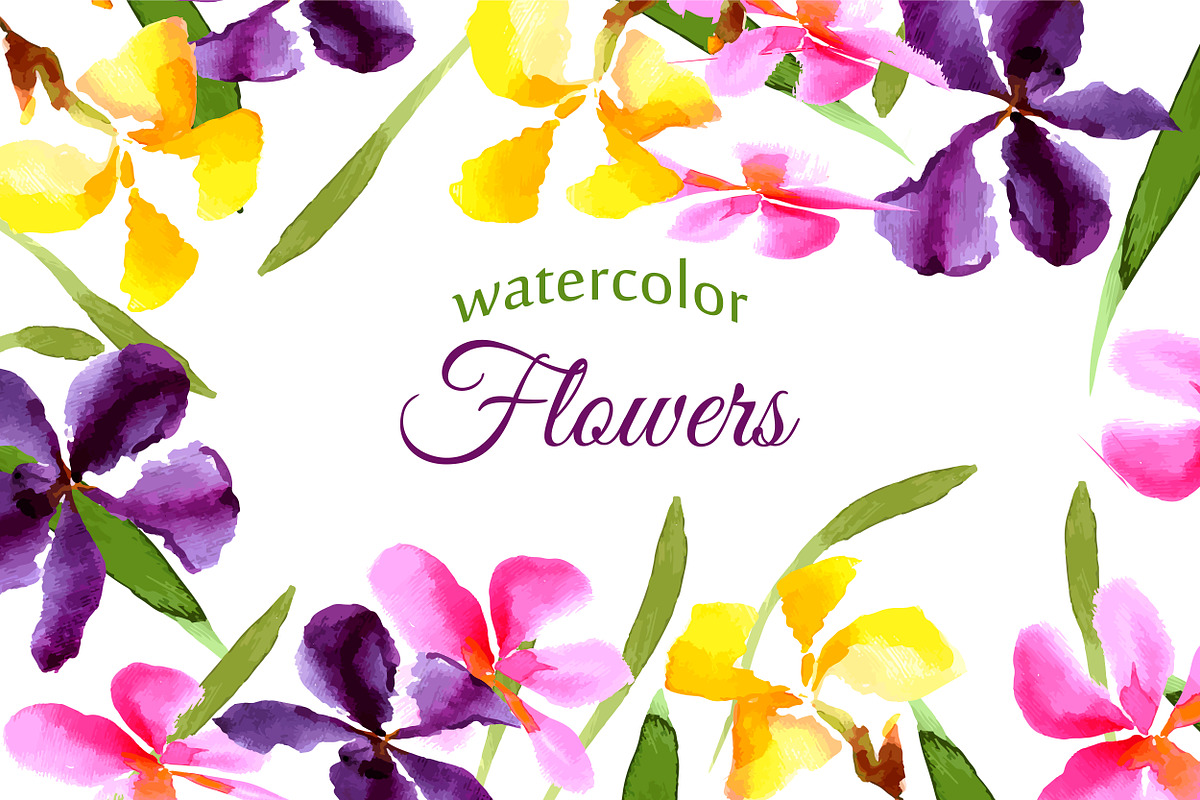 №3 Set watercolor irises vector, a Decorative Illustration by Rasveta (Photo 1 of 5)