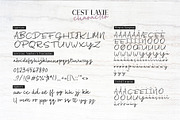 Cest Lavie Font Duo, a Serif Font by Adam Fathony (Thumbnail 5 of 11)