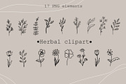 Modern herbal clipart, an Illustration by SleptArt (Thumbnail 1 of 3)