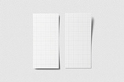 DL Flyer Mockup, an Advertising Mockup by zpackcreative (Thumbnail 4 of 4)
