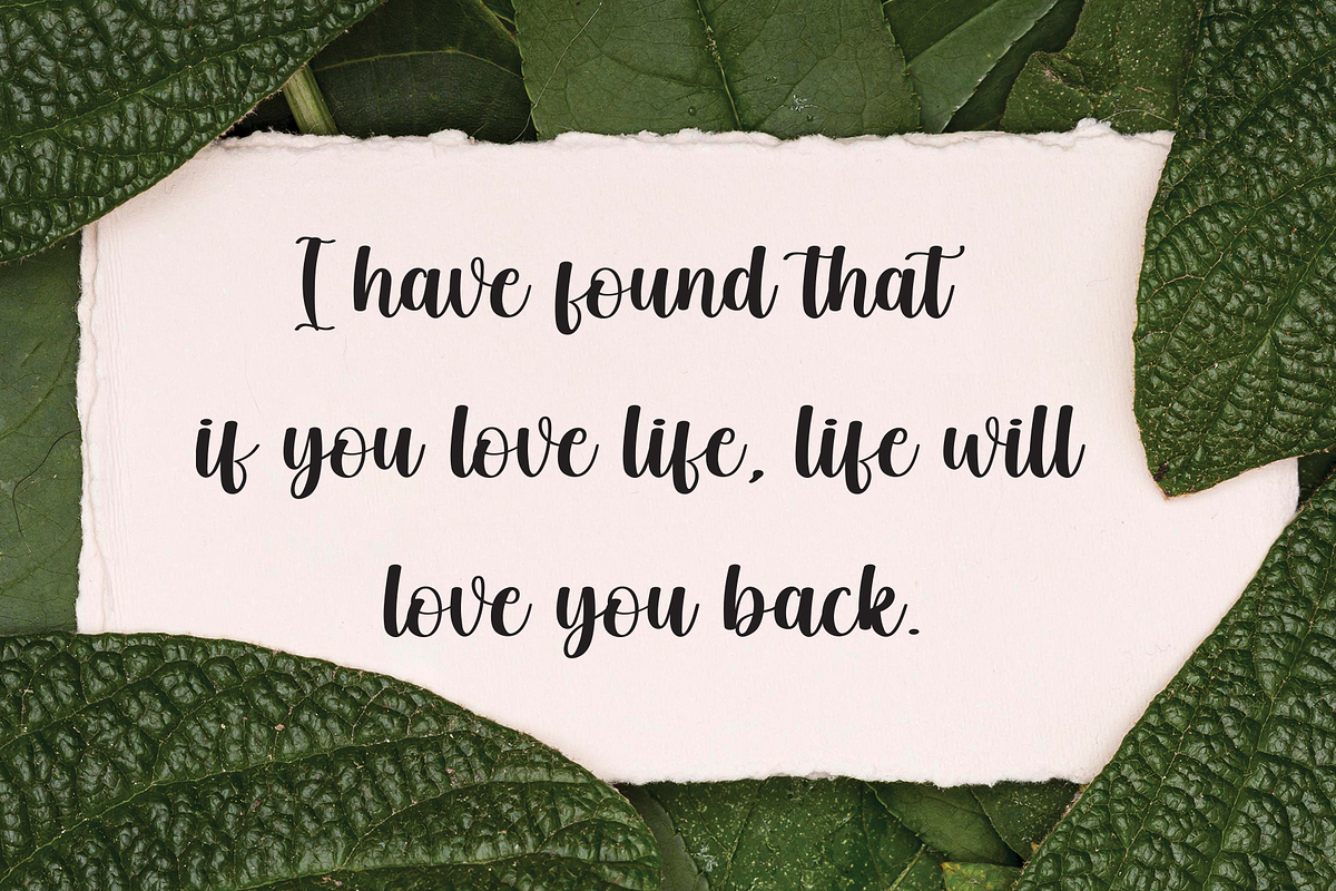 Skincare | Script Font, a Handwritten Font by Scratchones (Photo 5 of 8)
