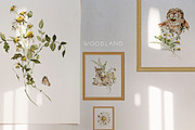 Spring woodland Baby animals clipart, an Animal Illustration by 60secondsArt (Thumbnail 5 of 14)