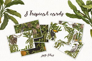 Tropical Jungle Animals, Plants Set