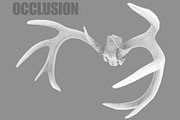 Deer Horns, an Animal 3D Model by Beatheart Creative Studio (Thumbnail 7 of 17)