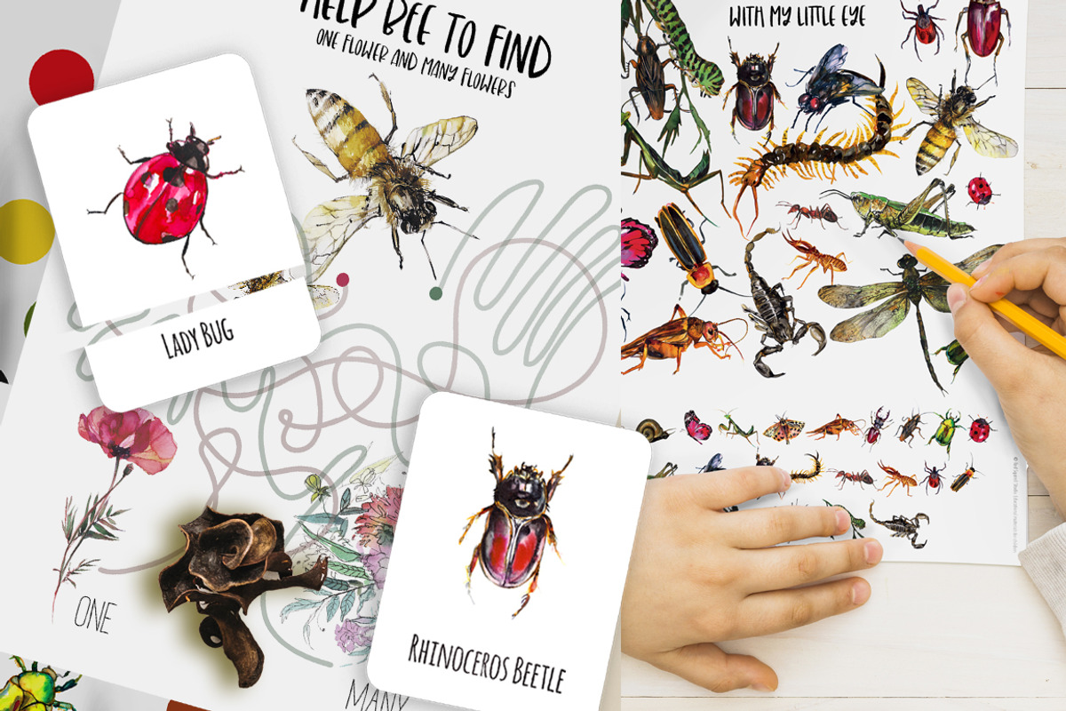 Insects and bugs watercolor clipart, an Object Graphic by ArtSpotVeronika (Photo 10 of 11)