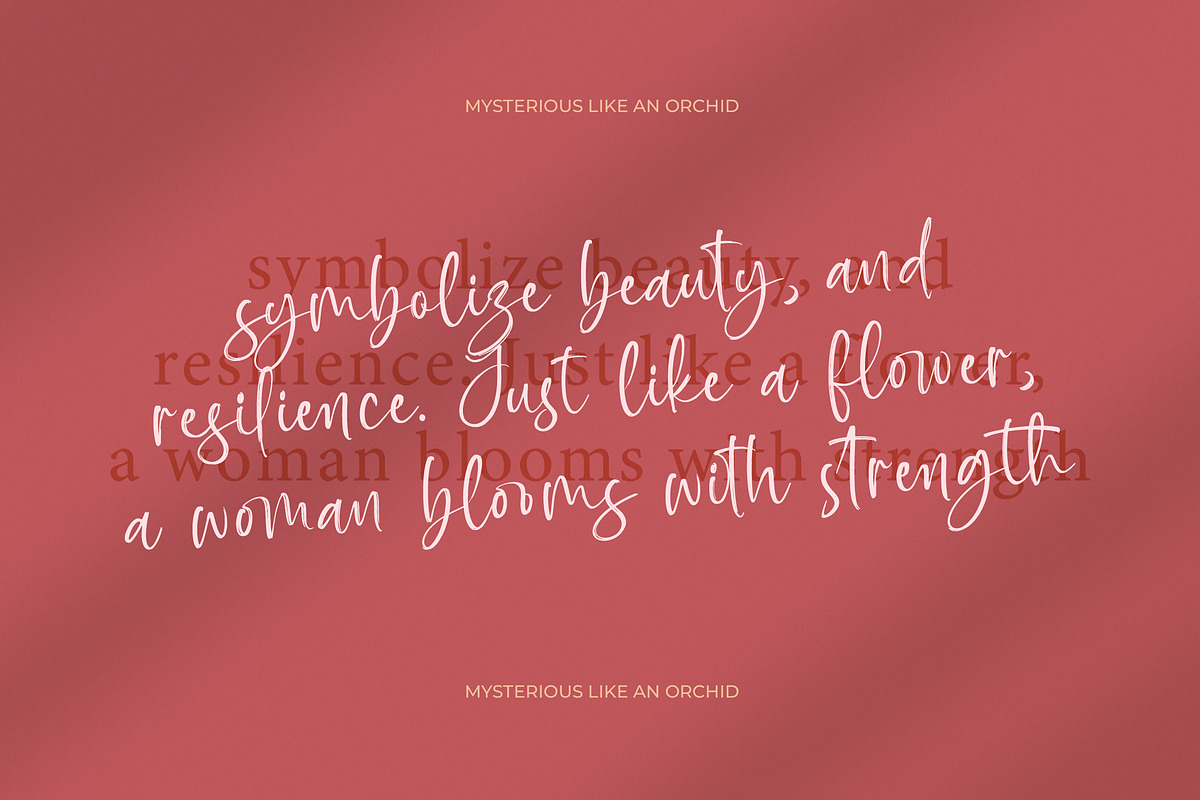 Baplosy Startera Bold Brush Font, a Script Font by Letterena Studios Script (Photo 12 of 20)