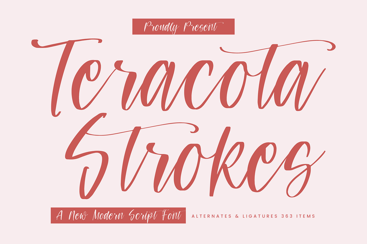 Teracota Strokes, a Script Font by Integritype Studio (Photo 1 of 15)