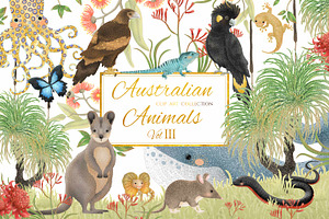 Australian Animals Vol III
