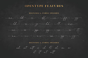 Bellidhia - Handwriting Font, a Handwritten Font by ianmikraz (Thumbnail 7 of 8)