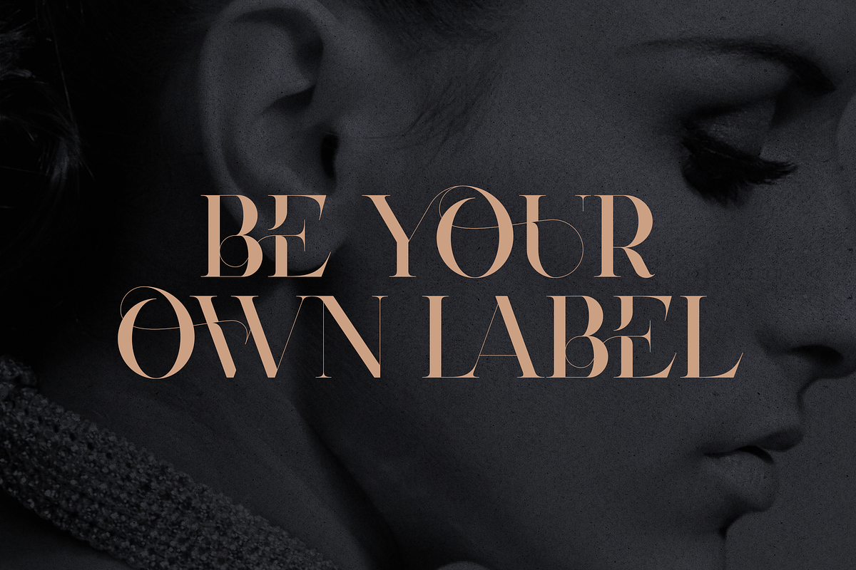 Type Prodigy - serif logo font, a Serif Font by VP Fonts (Photo 19 of 24)