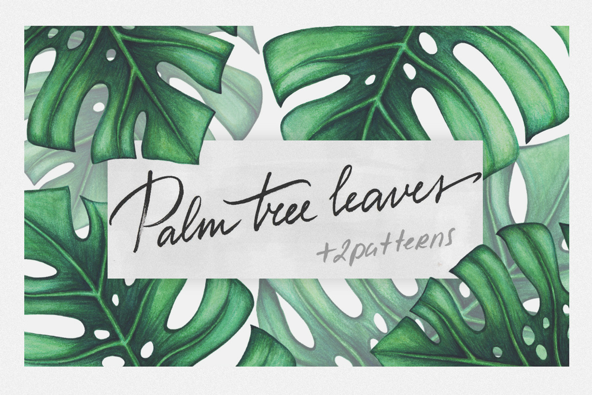 Palm tree leaves + patterns, a Decorative Illustration by Bigio Designs (Photo 1 of 4)