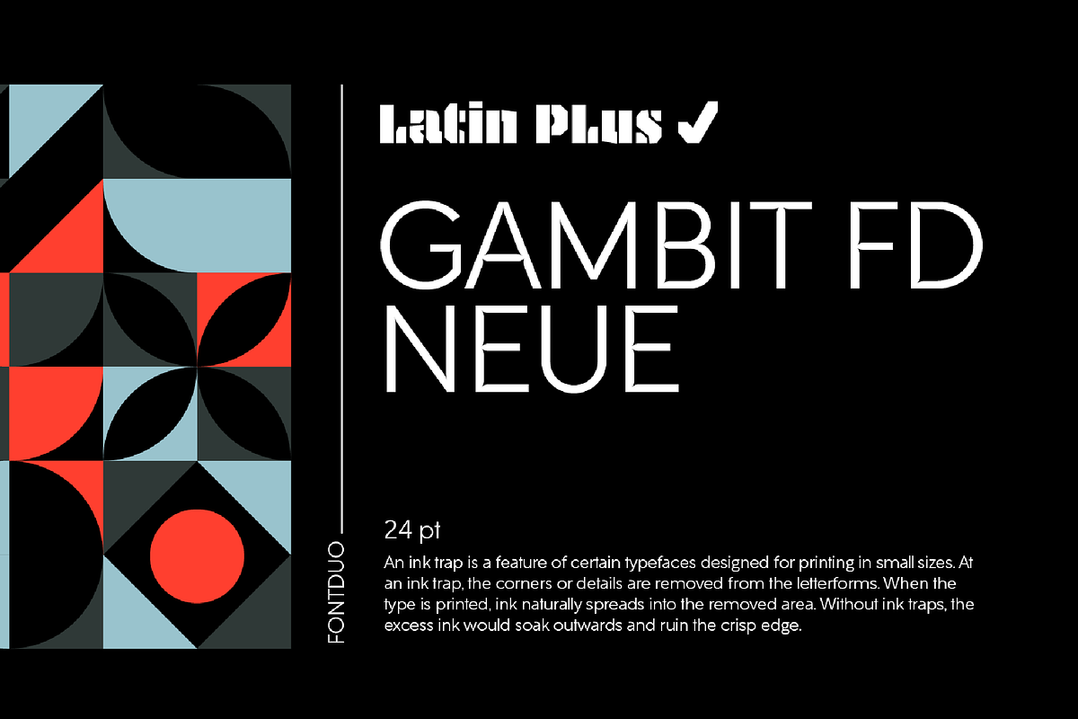 Gambit FD Neue, a Sans Serif Font by FontDuo (Photo 1 of 11)