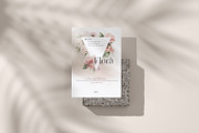 Flowers collection, floral clipart, an Illustration by ollalya (Thumbnail 5 of 14)
