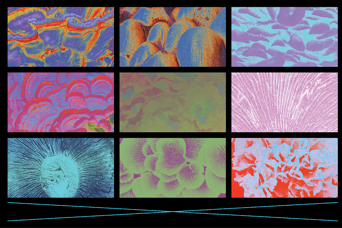 Fungi Textures, a Texture Graphic by Kapoor Design Empire (Photo 5 of 8)