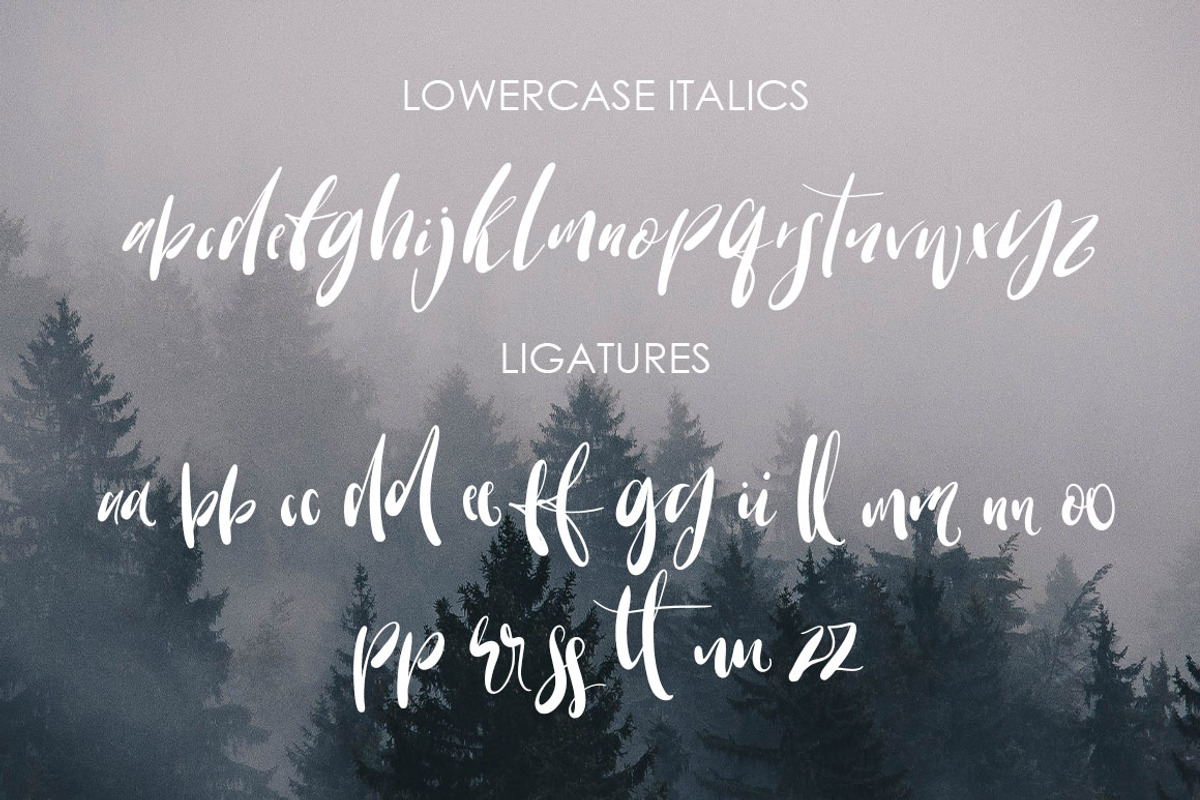 Warrenson Script Font, a Script Font by Creativeqube Design (Photo 18 of 19)