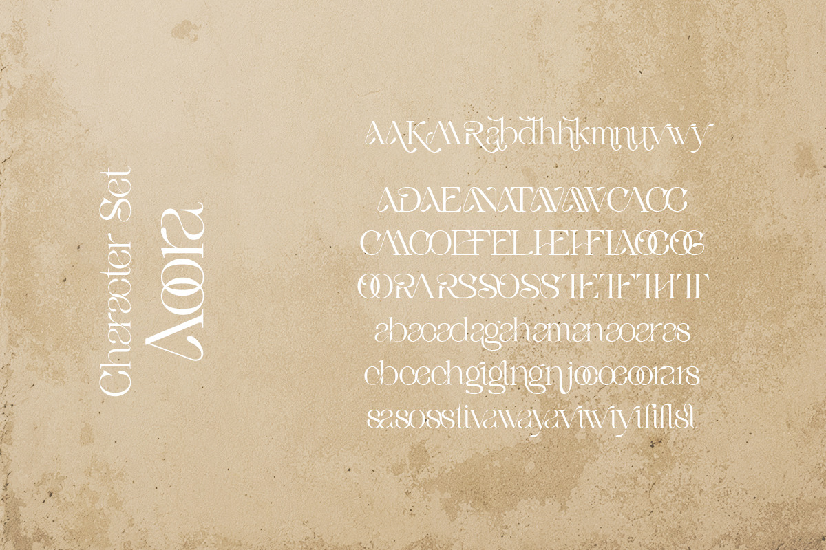 Aoora - Modern Luxury Serif, a Serif Font by Qweera Studio (Photo 12 of 12)