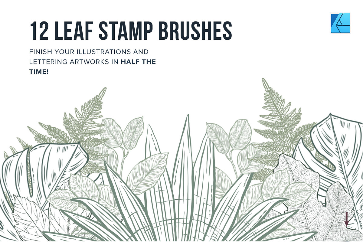 87 Floral Affinity Stamp Brushes, a Brush Add-On by Riveros Illustration (Photo 7 of 11)