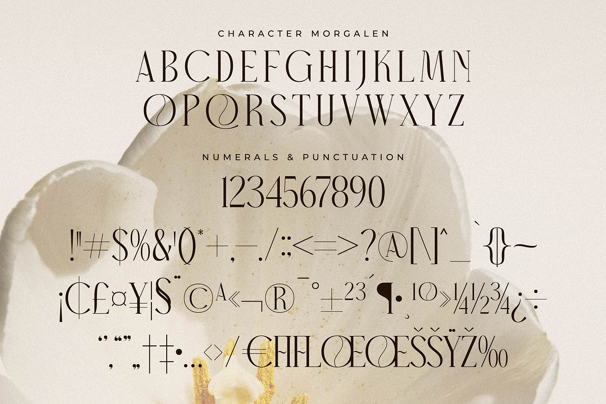 Narque Holden Gold Font Duo, a Serif Font by Storytype Studio (Photo 11 of 15)