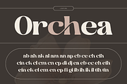 Martina Retro - Branding Logo Font, a Serif Font by Nirmana Visual (Thumbnail 7 of 12)