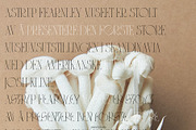 CYTRONI Modern Mix Font Duo, a Serif Font by ana & yvy (Thumbnail 27 of 34)
