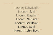 AO Leoney - Display Font Family, a Serif Font by OwunStudio (Thumbnail 6 of 22)