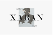 VOLUX - Luxury Branding, a Serif Font by Vroz Studio (Thumbnail 5 of 9)