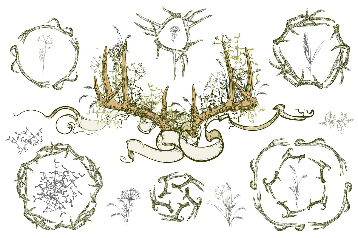 Deer antlers collection., an Animal Illustration by ArtOwl (Photo 7 of 8)