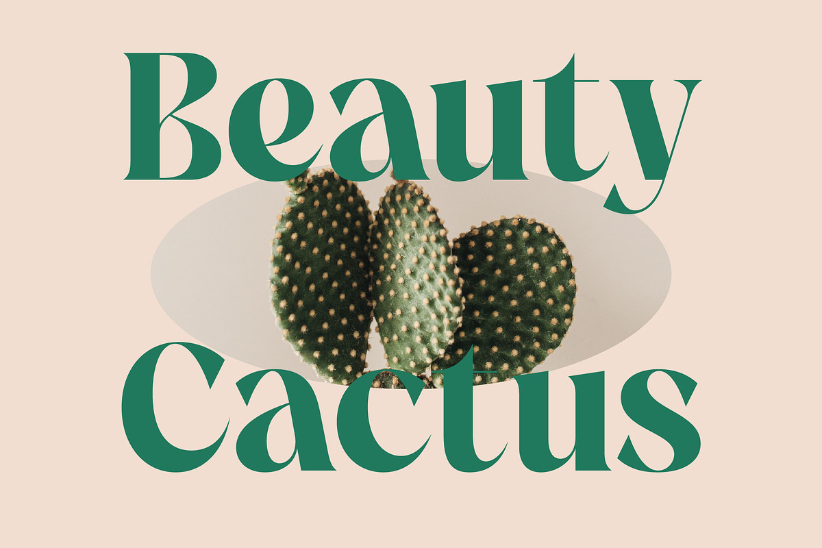 The Bencoy Modern Serif Display, a Serif Font by timelesstype.co (Photo 8 of 20)