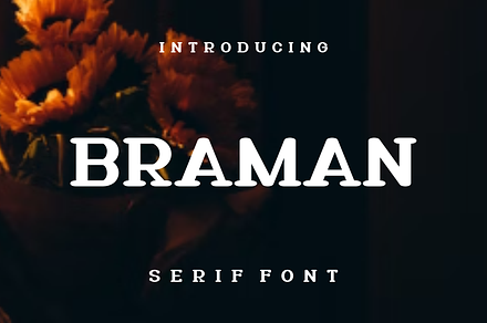Braman, a Serif Font by lelevien