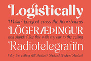 Cavellis, a Serif Font by Zane Studio (Thumbnail 5 of 10)