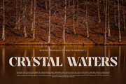 Sakez Elegant Serif Font Typeface, a Serif Font by Perfectype (Thumbnail 6 of 7)