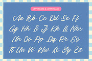 Island Paradise Aesthetic Font, a Script Font by Letterena Studios Script (Thumbnail 8 of 10)