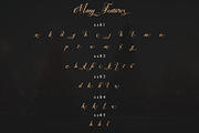 Christmas Faithful, a Script Font by Letterara (Thumbnail 10 of 12)