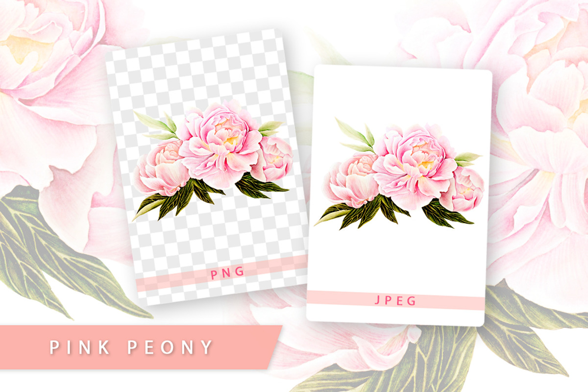 5 illustrations flower color mix, a Decorative Illustration by Integrity_store (Photo 7 of 11)
